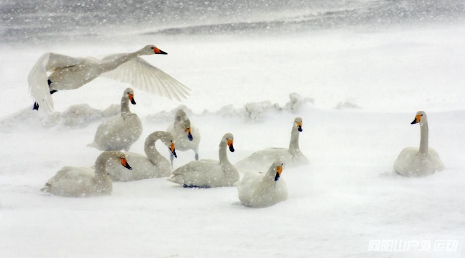 活动招募:向阳山户外休闲吧培训第三期:初级摄